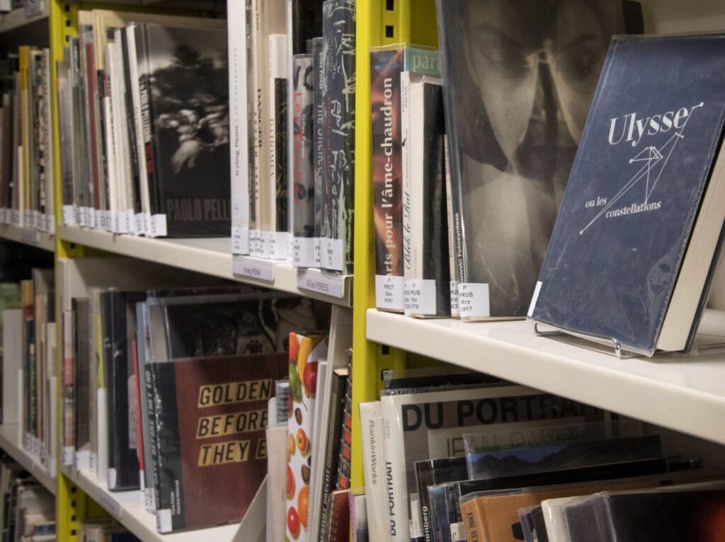 Book shelves in the library